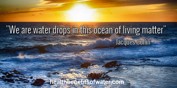 " We are drops of water in this ocean of living matter" - Jaques Colin Ocean in Sunset